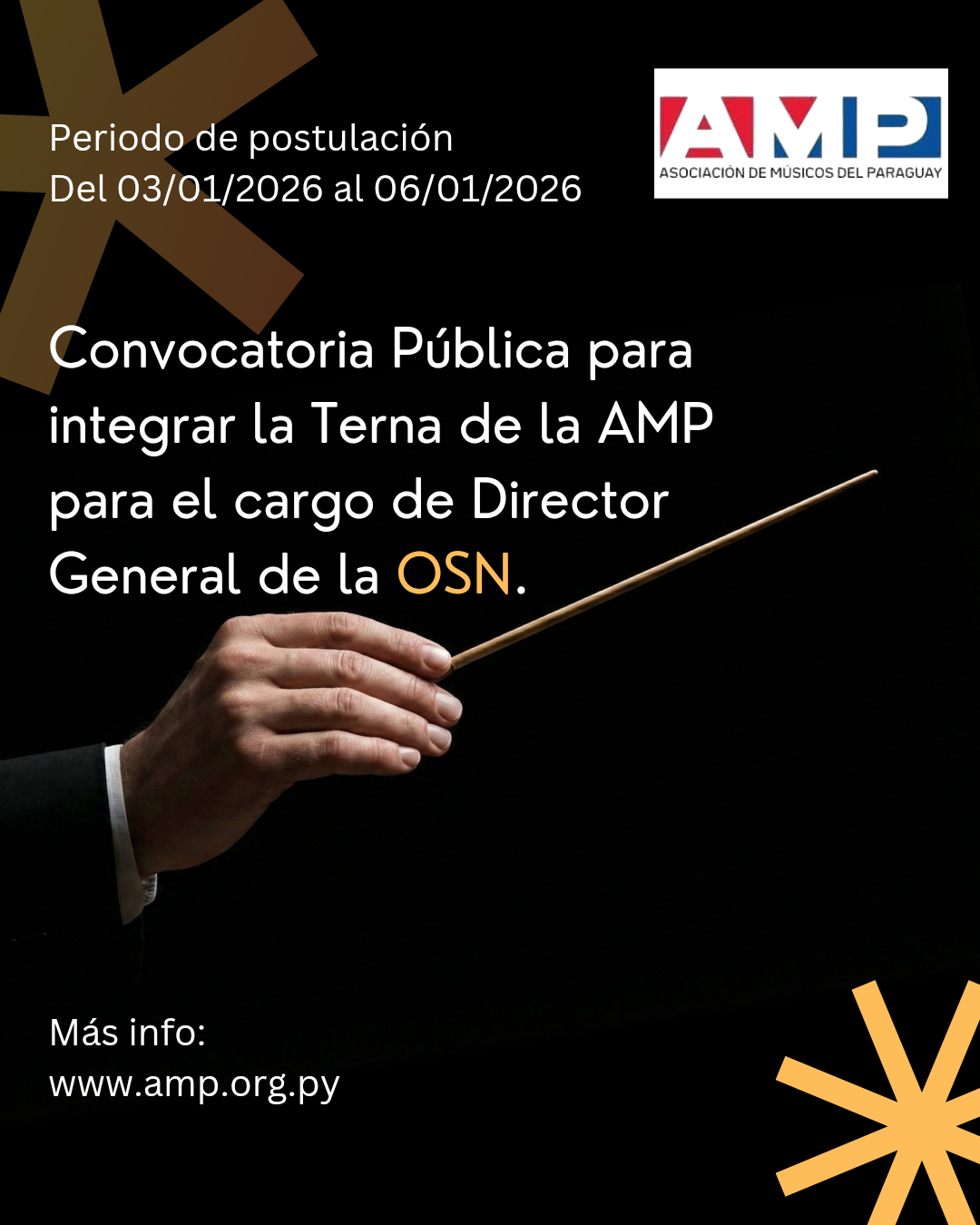 Convocatoria Pública para integrar la Terna de la AMP para el cargo de Director General de la OSN.